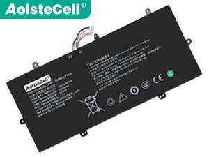 แบตเตอรี่ AolsteCell 2895B4-001