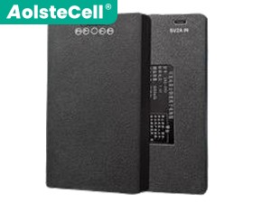 แบตเตอรี่ AolsteCell ZNS-09D