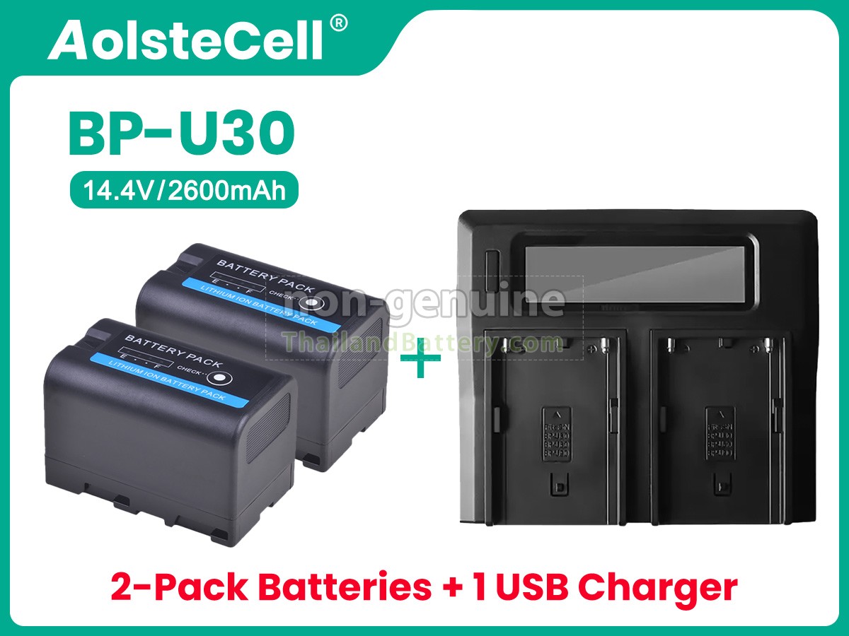 แบตเตอรี่สำหรับ Sony BP-U30